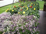 Owens Garden Center Landscaping